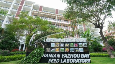 Photo of ការធ្វើទំនើបកម្មតាមបែបផែនចិន-នៅលើវាលស្រែពោរពេញដោយក្តីសង្ឃឹម