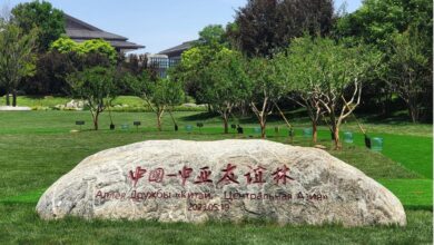 Photo of យល់ដឹងអំពីសហគមន៍រួមវាសនាចិន-អាស៊ីកណ្តាលចាប់ពីសុភាសិតដែលដកស្រង់ដោយលោកXi Jinping