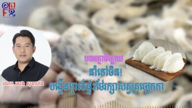 Photo of បទអត្ថាធិប្បាយ ៖ នាំទៅចិន! បង្កើនម្ចាស់ផ្ទះថែរក្សាសត្វត្រចៀកកាំ