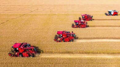 Photo of ការស្ដារទីជនបទឡើងវិញដោយគ្រប់ជ្រុងជ្រោយ