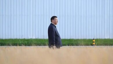 Photo of រឿងរ៉ាវប្រមូលផលរបស់កសិករដែលលោក Xi Jinpingយកចិត្តទុកដាក់