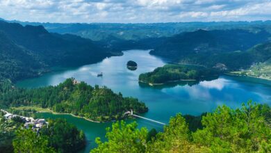 Photo of បទវិភាគ៖ ការអនុវត្ត“ផែនការអភិវឌ្ឍន៍ជាតិ ៥ ឆ្នាំទី ១៤” បញ្ចប់យ៉ាងគាប់ប្រសើរ សេដ្ឋកិច្ចចិននឹងសម្រេចបាននូវសមិទ្ធផលកាន់តែធំធេងឥតឈប់ឈរ