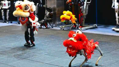 Photo of បទវិភាគ៖ បុណ្យចូលឆ្នាំថ្មីប្រពៃណីចិនបំផុសភាពរស់រវើកថ្មីនៅទូទាំងពិភពលោក