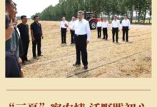 Photo of លោក Xi Jinping អញ្ជើញចុះត្រួតពិនិត្យការងារស្ថានភាពកសិកម្មក្នុងរដូវក្តៅ